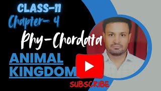 PHYLUM CHORDATA  Class 11th Phylum CHORDATA in easy hindi   NEET\BOARD [upl. by Margette]