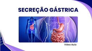 Secreção gástrica Substâncias do suco gástrico suas funções regiões e células que secretam [upl. by Nawor]