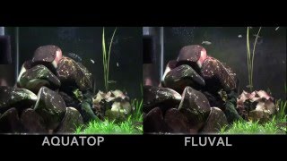 Aquarium LED Fixture Visual Comparison [upl. by Rocco]