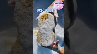 ASMR Squeezing amp rinsing sponges 🫧🫧🫧 shorts squeeze spongesqueeze spongerinsing [upl. by Harihs]