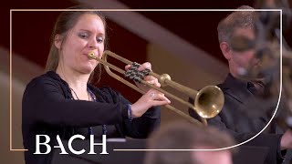 Bach  Easter Oratorio Kommt eilet und laufet BWV 249  Van Veldhoven  Netherlands Bach Society [upl. by Asen]