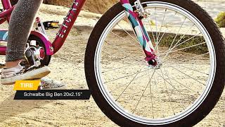 Electra Sprocket 1 20quot 2021 bike review [upl. by Steel531]