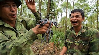 Consequences of angering a baby cobra  Cobra mother and daughter join forces to attack the hunter [upl. by Pasia]