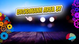 Brodmann area 37  Know It ALL 🔊✅ [upl. by Hanleigh]