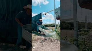 Cleaning water troughs today [upl. by Aikemot]