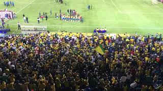 Mamelodi Sundowns Haka Matorokisi song [upl. by Bega447]