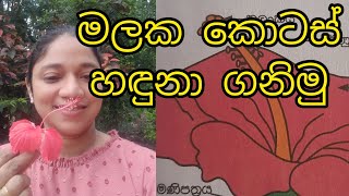 මලක කොටස් හඳුනා ගනිමු පැලෑටි හා ගස්වැල් පරිසරය 345ශ්‍රේණි දරුවන්ට [upl. by Atinram]