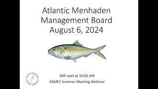 Atlantic Menhaden Board Proceedings Summer 2024 [upl. by Yldarb]