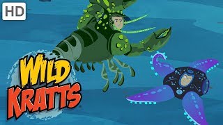 Wild Kratts  The Sea Creature Powers [upl. by Aztinaj456]