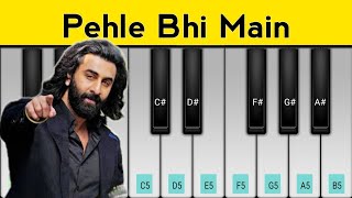 Pehle Bhi Main Piano Tutorial  Animal  Ranbir Kapoor [upl. by Iramat]