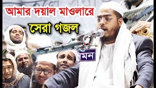 আমার দয়াল মাওলারে হাফিজুর রহমান সিদ্দিকীর সেরা গজল। Hafizur Rahman Siddiki New Gojol 2019 [upl. by Gerdy]