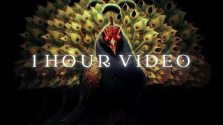 Andrealphus The Assyrian God Adrameleh 1 Hour Music Video HQ Dark Ambient Meditation Music [upl. by Dunkin]