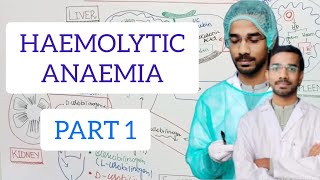 HAEMOLYTIC ANAEMIA hematology anemia [upl. by Meisel]