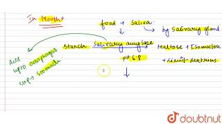 How are polysaccharides and disaccharides digested [upl. by Merridie]