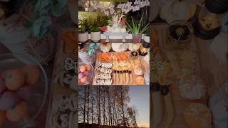 Creative Halloween Decor amp Party Platter Ideas  DIY Fun  New Video Released shorts [upl. by Shing]