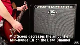 Peavey TransTube Special 212 Guitar Combo Amp at Soundsliveshopcom [upl. by Alohcin]