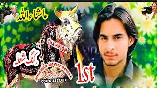 Bull Race In Pakistan  Attock Jalsa  07092024 Hamzaskyvideos sunnyvideofatehjang3600 [upl. by Aikenat]