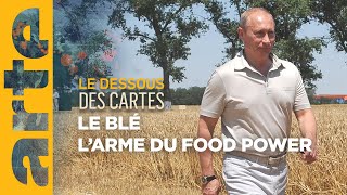 Le blé  un enjeu de food power  Le dessous des cartes  ARTE [upl. by Alford]