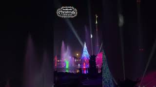 SeaWorld Christmas Celebration 2024 watch our full video 🎄 seaworld seaworldchristmas [upl. by Joris]