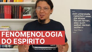 Hegel e a quotFenomenologia do Espíritoquot  dicas metodológicas e indicações bibliográficas [upl. by Sofia]