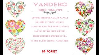 VANDEBO  Teneg Tom Zurh LYRICS [upl. by Ahcsrop220]