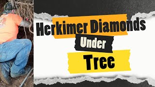 Finding Herkimer Diamonds in New York [upl. by Etnad]