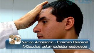 🌟NERVIO ACCESORIO  EXAMEN BILATERAL  MÚSCULOS ESTERNOCLEIDOMASTOIDEOS🌟 [upl. by Livvie]