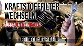 Peugeot 407 20 HDI  Dieselfilter selber wechseln [upl. by Yonatan]