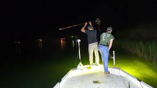 Dauphin Island Flounder Gigging 9 15 24 [upl. by Aihtekal]