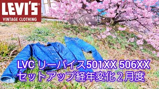 【リーバイスLVC】501XX 506XXカイハラデニム日本製定期経年変化報告2024年2月度 河津桜 levis tcbジーンズ エイジング ハチノス ヒゲ 縦落ち [upl. by Bollay401]