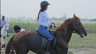 Best Horse Riding School In Bangladesh [upl. by Amahcen]