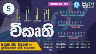 විකෘති  Mutations  EduTalk Biology [upl. by Gilleod]