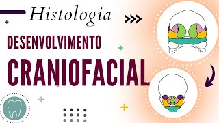 DESENVOLVIMENTO CRANIOFACIAL [upl. by Maggy442]