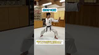 Shotokan Karate Training [upl. by Helm]