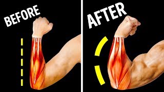 Only 14 Exercises You Need for Bigger Forearms [upl. by Ekul]