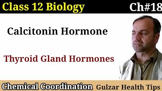 Calcitonin Hormone  Thyroid gland hormones  Class 12th Biology [upl. by Enohs4]