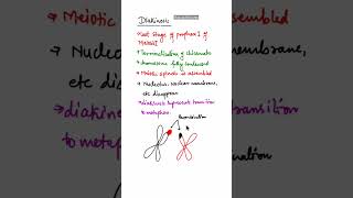 Diakinesis of Meiosis cell division shorts diakinesisofmeiosis neet2025biology neet2025exam [upl. by Esyak989]