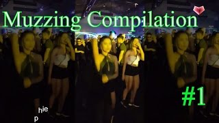 Muzzing Compilation 1 [upl. by Ahtenak]