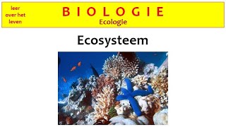 Biologie  Ecologie  Ecosysteem [upl. by Lois]