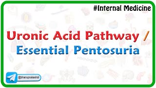 Uronic Acid Pathway  Essential Pentosuria  Medical Biochemistry by Dr G Bhanu Prakash [upl. by Ardnek210]