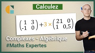 Comment multiplier une matrice par un réel  Exercices corrigés  Maths expertes Terminale [upl. by Miles]