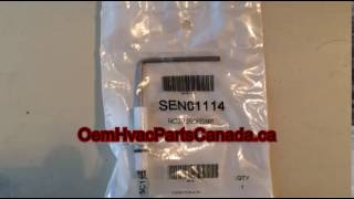 Trane SEN01114 Flame Sensor [upl. by Atlanta402]