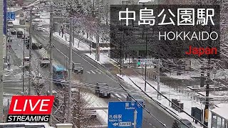 202401142【LIVE】道路状況・中島公園駅周辺 札幌市中央区南８条西４丁目 [upl. by Maxima874]