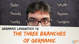 GERMANIC LINGUISTICS 2  THE THREE BRANCHES OF GERMANIC [upl. by Aliahs596]