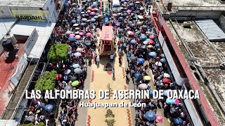 La CIUDAD de las ALFOMBRAS  Huajuapan de León ✅ más de 5 kilómetros de tapetes de aserrin 🤯 [upl. by Haskins]