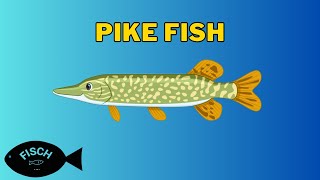 Where To Find Pike Fish in Fisch  Pike Fish Location  Roblox [upl. by Nhguavoj879]