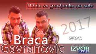 Braca Gavranovic  Udala se gradjanka na selo  2017 [upl. by Salsbury]