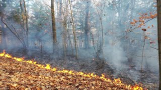 Columbiaville 4th alarm Field Fire November 9 2020 [upl. by Notse964]