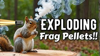 Are Tannerite Frag Pellets More Lethal [upl. by Najed]