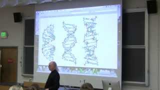 15 Biochemistry Lecture DNA Structure and Replication from Kevin Aherns BB 350 [upl. by Cand295]